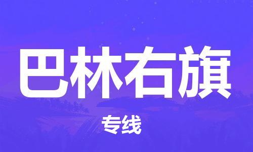 天津到巴林右旗物流公司|天津到巴林右旗物流專線|天津到巴林右旗貨運專線