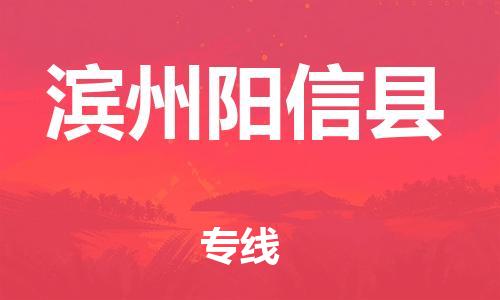 天津到濱州陽信縣物流專線-天津到濱州陽信縣貨運(yùn)公司-