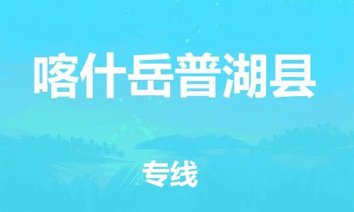 天津到喀什岳普湖縣物流專線-天津至喀什岳普湖縣貨運(yùn)專線