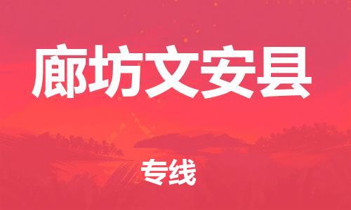 天津到廊坊文安縣物流專線-天津到廊坊文安縣貨運(yùn)公司-