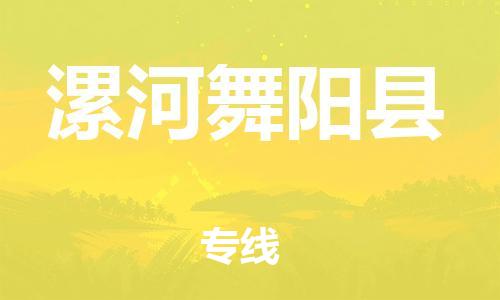 天津到漯河舞陽(yáng)縣物流專線-天津到漯河舞陽(yáng)縣貨運(yùn)公司-