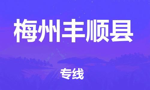 天津到梅州豐順縣物流專線-天津至梅州豐順縣貨運(yùn)專線