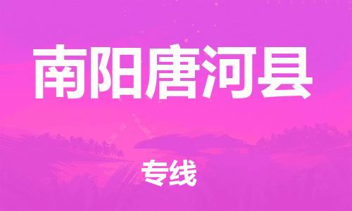 天津到南陽唐河縣物流專線-天津到南陽唐河縣貨運(yùn)公司-