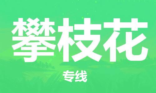 天津到攀枝花物流公司|天津到攀枝花貨運(yùn)專線|真誠合作