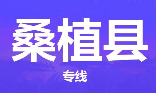 天津到桑植縣物流公司|天津到桑植縣物流專線|天津到桑植縣貨運專線