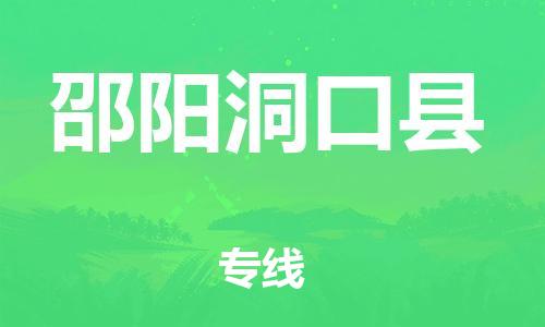 天津到邵陽洞口縣物流專線-天津至邵陽洞口縣貨運(yùn)專線