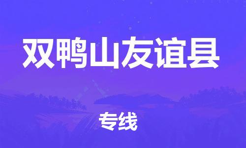 滄州到雙鴨山友誼縣貨運公司_滄州到雙鴨山友誼縣物流專線