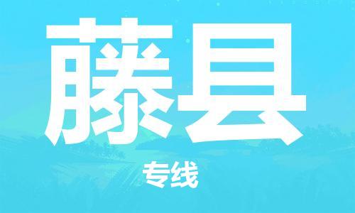 天津到藤縣物流公司|天津到藤縣物流專(zhuān)線|天津到藤縣貨運(yùn)專(zhuān)線