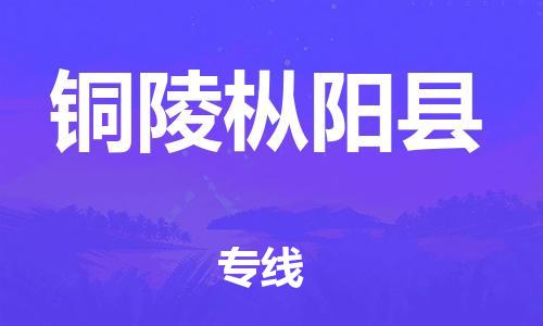 天津到銅陵樅陽縣物流專線-天津至銅陵樅陽縣貨運(yùn)專線