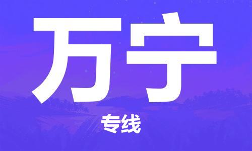 天津到萬(wàn)寧物流公司-天津到萬(wàn)寧貨運(yùn)專線-竭誠(chéng)服務(wù)