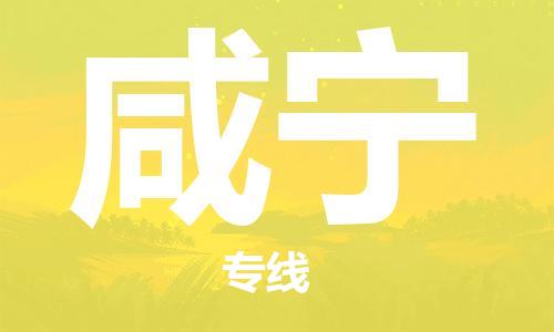 天津到咸寧物流公司-天津到咸寧貨運(yùn)專線-零擔(dān)物流