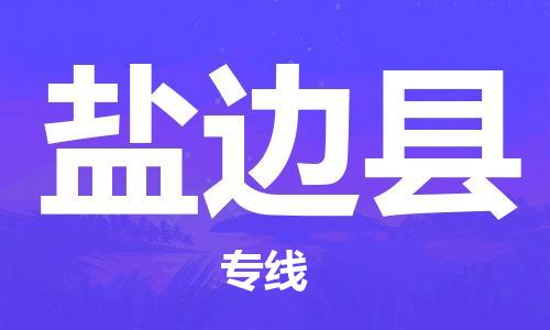 天津到鹽邊縣物流公司|天津到鹽邊縣物流專線|天津到鹽邊縣貨運專線