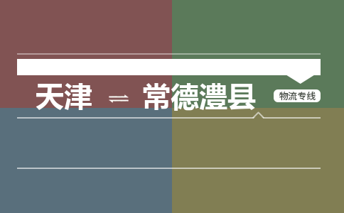 天津到常德澧縣物流專線-天津到常德澧縣貨運(yùn)公司-