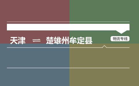 天津到楚雄州牟定縣物流專線-天津到楚雄州牟定縣貨運公司-