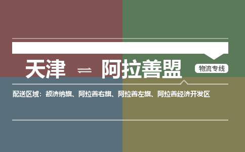 天津到阿拉善盟物流公司-天津至阿拉善盟專線-高效、便捷、省心！