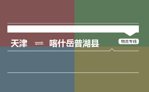 天津到喀什岳普湖縣物流專線-天津到喀什岳普湖縣貨運公司-