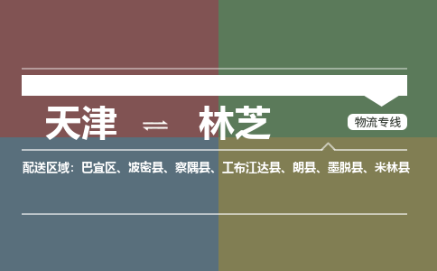 天津到林芝物流公司-天津至林芝專線-高效、便捷、省心！