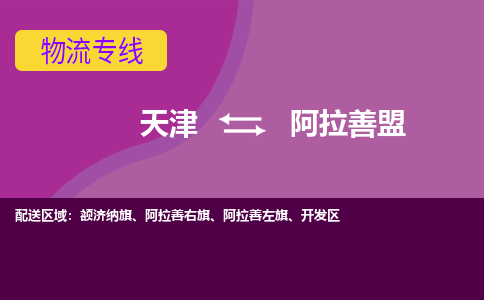 天津到阿拉善盟物流專線【快速-安全】天津至阿拉善盟貨運公司