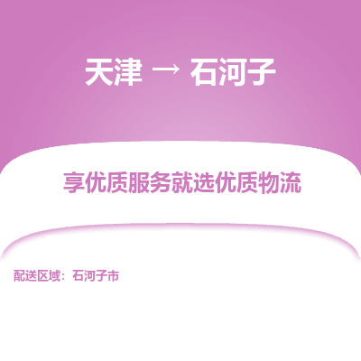 天津到石河子物流公司-天津至石河子專線-高效、便捷、省心！